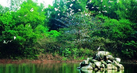 文昌白鹭湖文明生态片区