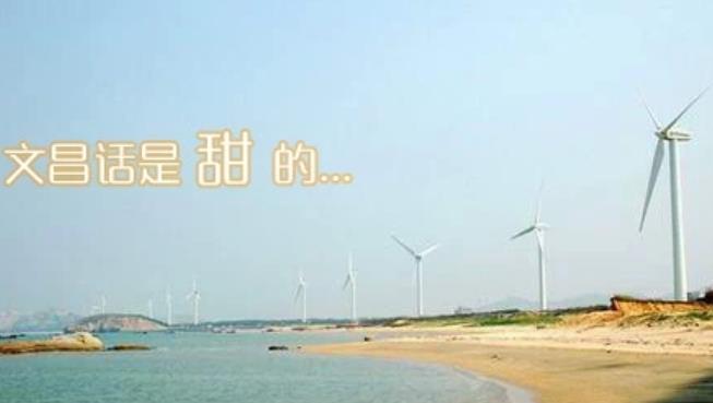 有一种味道叫文昌话