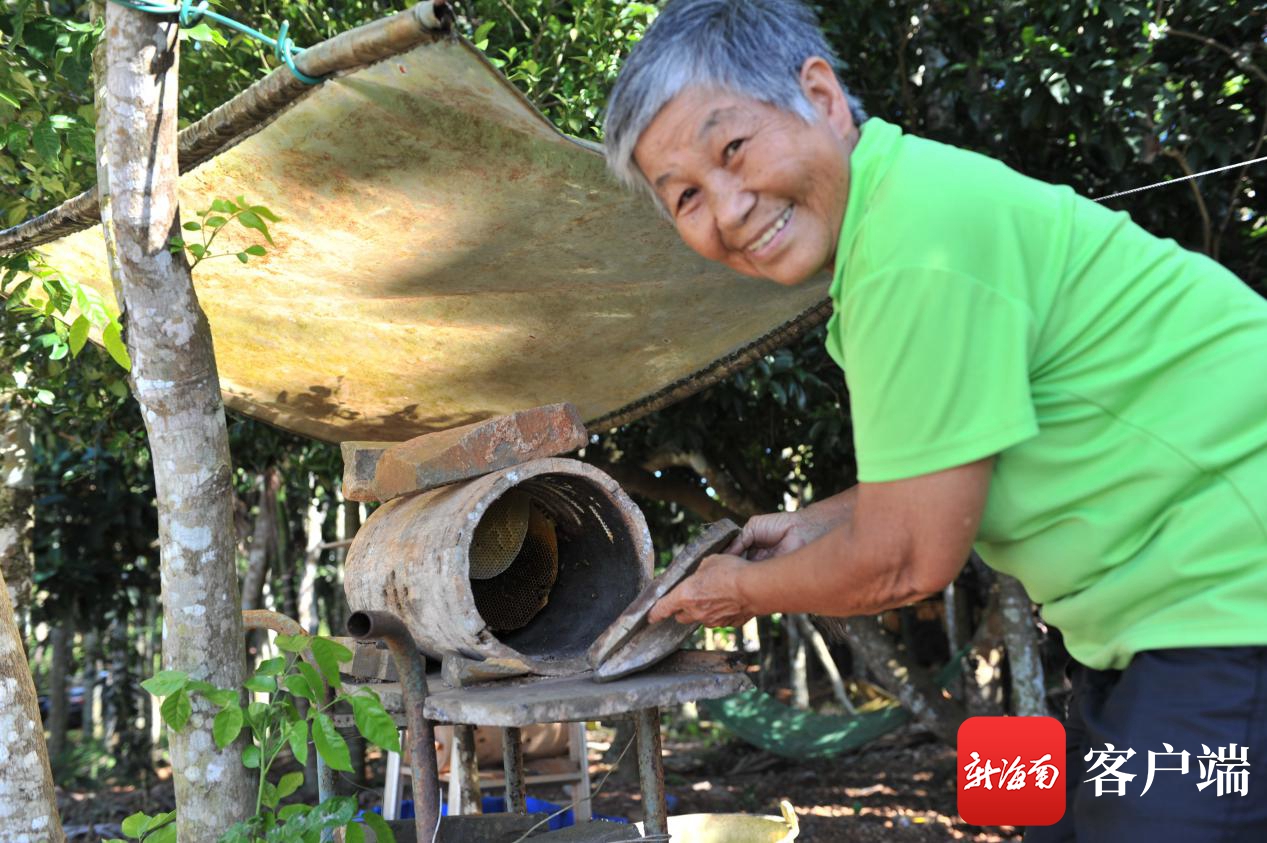 吴剑如在家养蜜蜂改善生活。（连中华 摄）