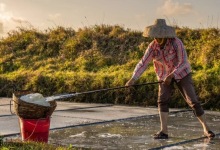 被遗忘的文昌“盐田”：千年制盐史的活化石-人在文昌