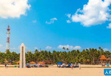 东郊椰林是怎么形成的？聊聊文昌的椰子简史-人在文昌